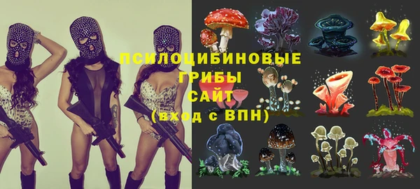 меф Вяземский