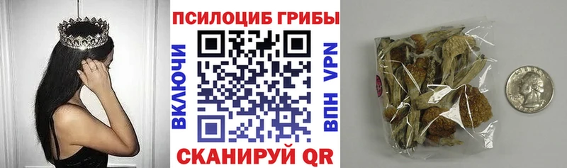 купить  цена  Орехово-Зуево  Псилоцибиновые грибы MAGIC MUSHROOMS 